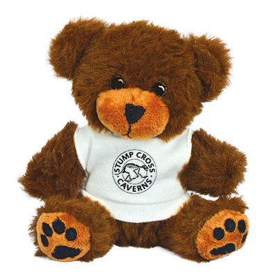 Image of 5" George Bear with T Shirt