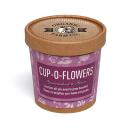 Image of Natural Cup-O-Flowers Grow Kit
